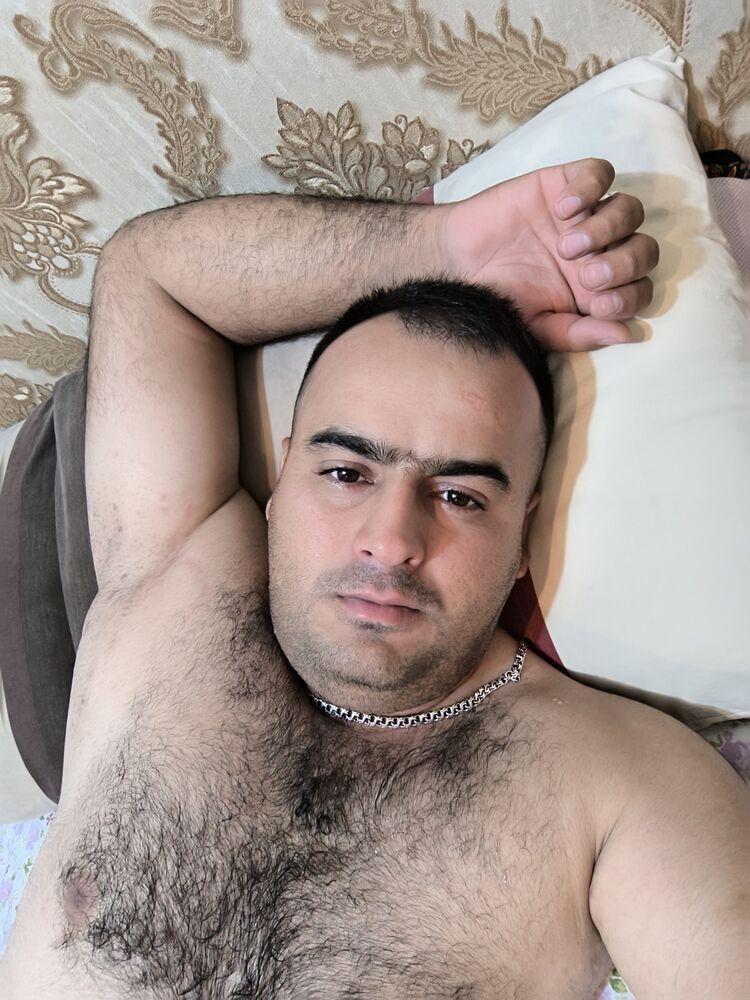  43700691  , 31 ,    