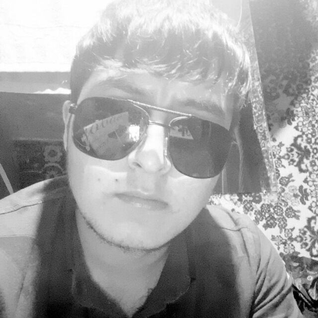 ���� 49381411 ������� ����, 33 ����, ���� ���������� � ������