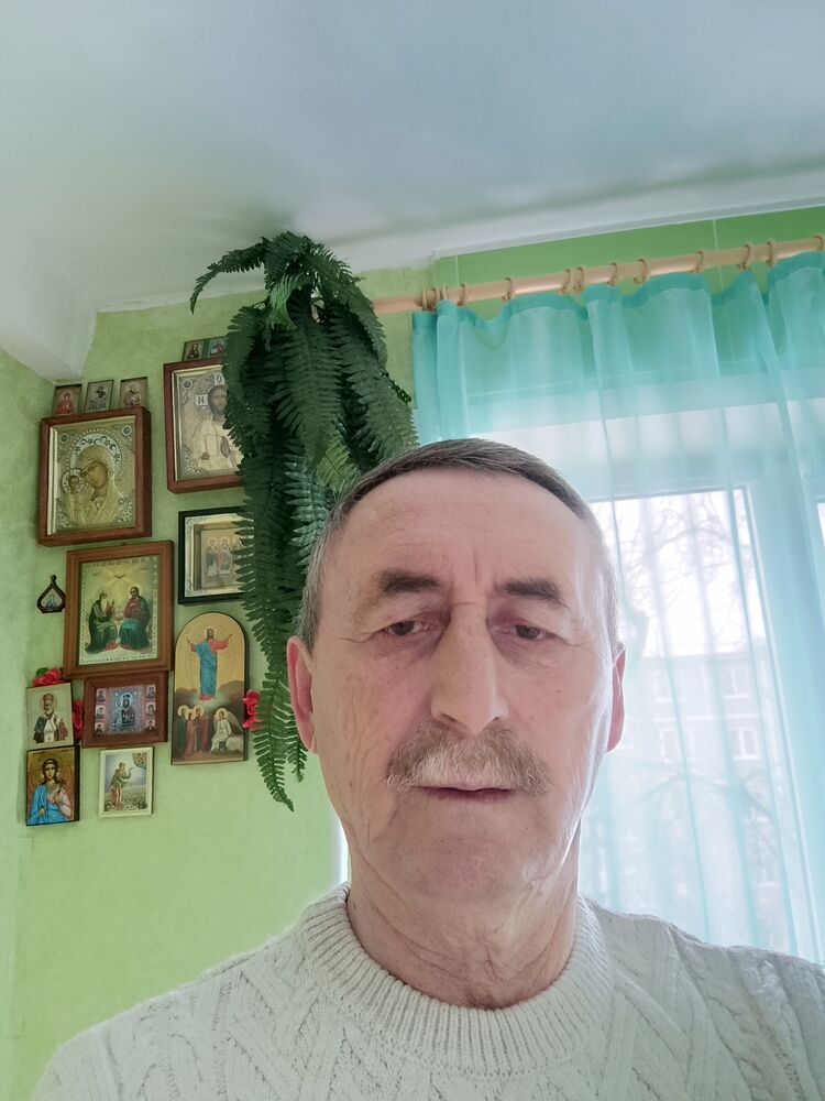 ���� 55351311 ������� �������, 66 ���, ���� ���������� � ���������