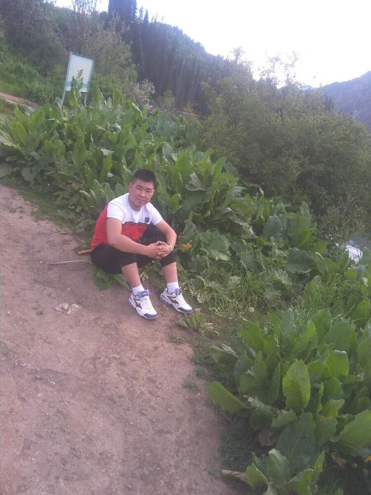  -,   Sadyr, 29 ,   ,   , c 