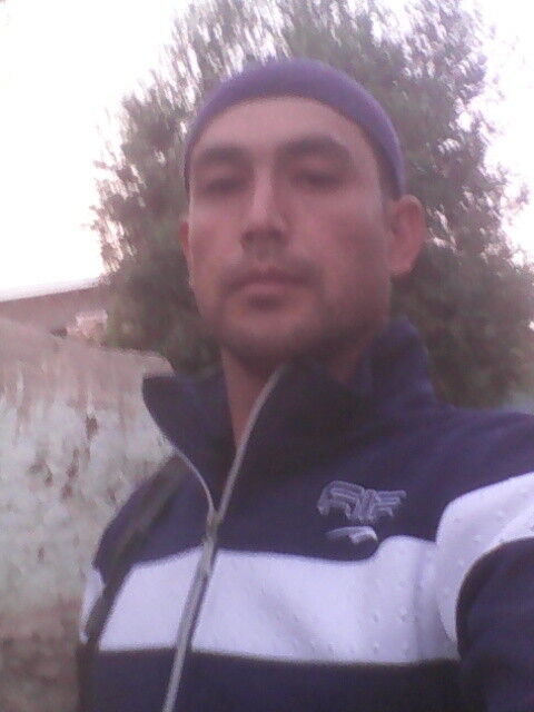  10742031  , 37 ,    