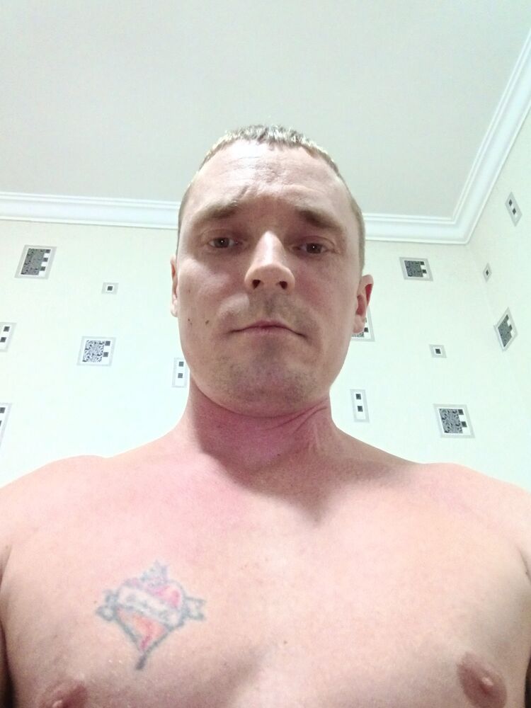  31339901  , 36 ,    
