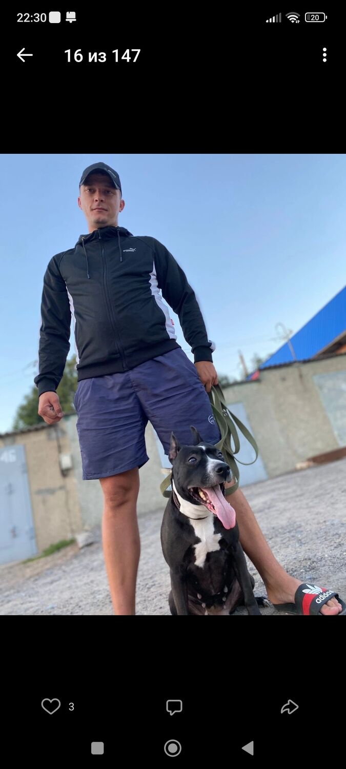 ���������� ��������, ���� ������� �������, 31 ���, ������������ ��� ����� � ���������, c�������� ���������, ���������