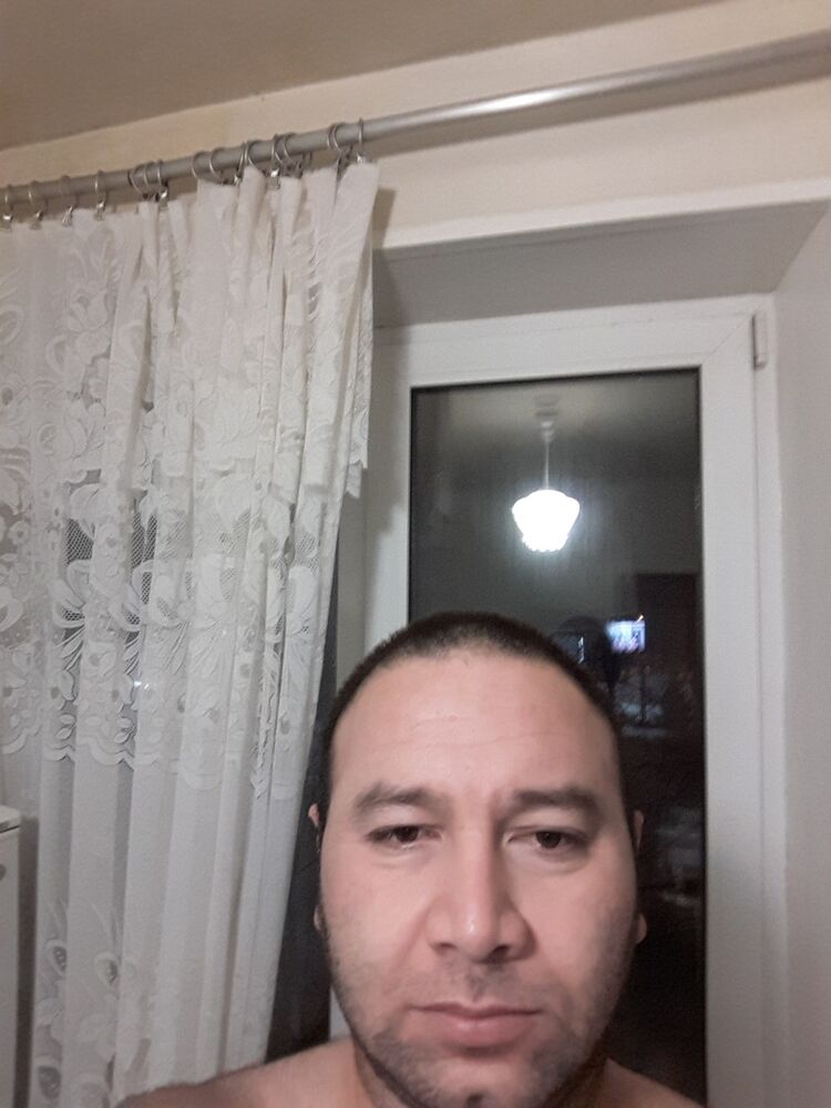  15205431  , 43 ,    