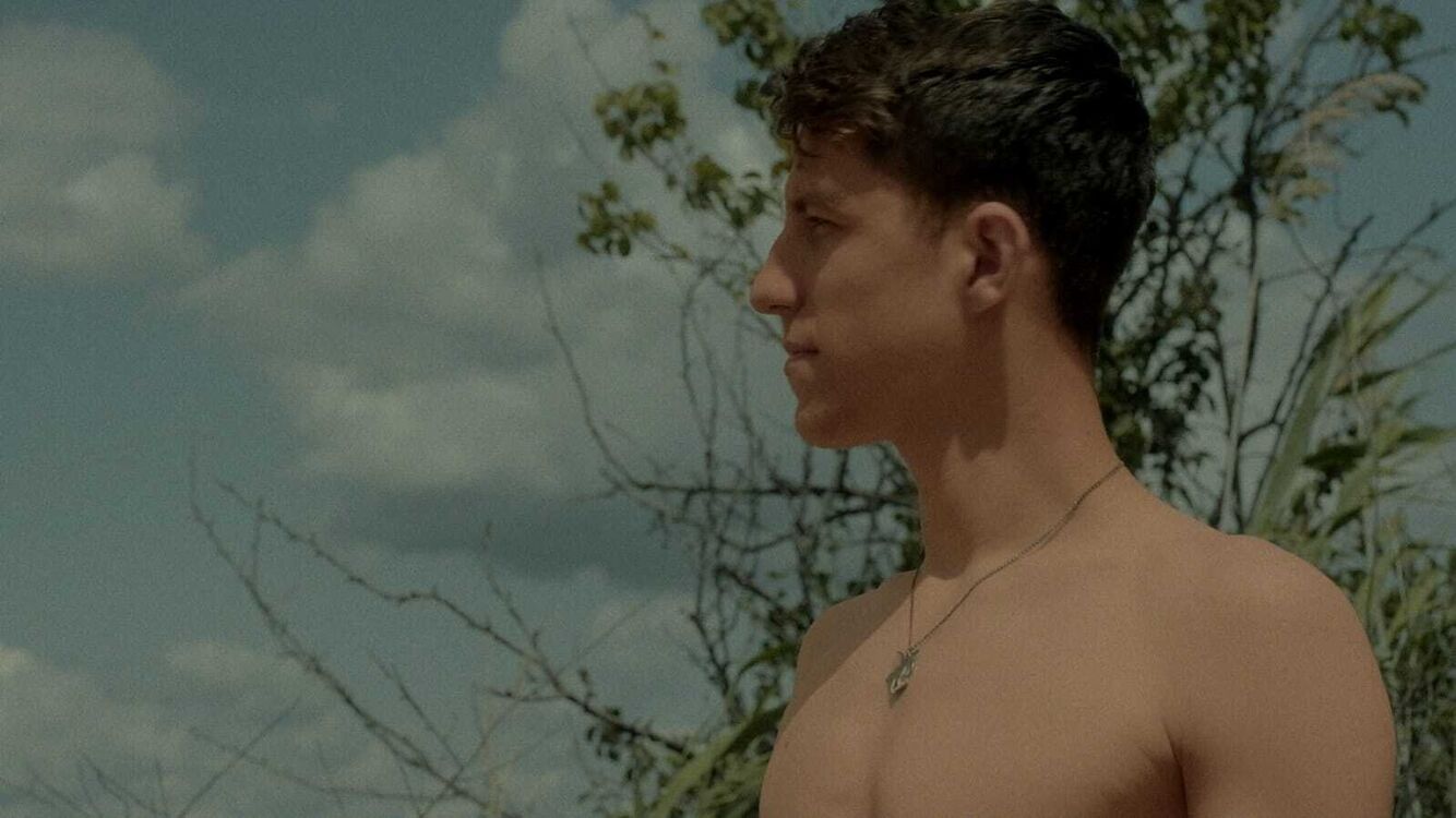 ���� 55010521 ����� �������, 20 ���, ���� ���������� � ������