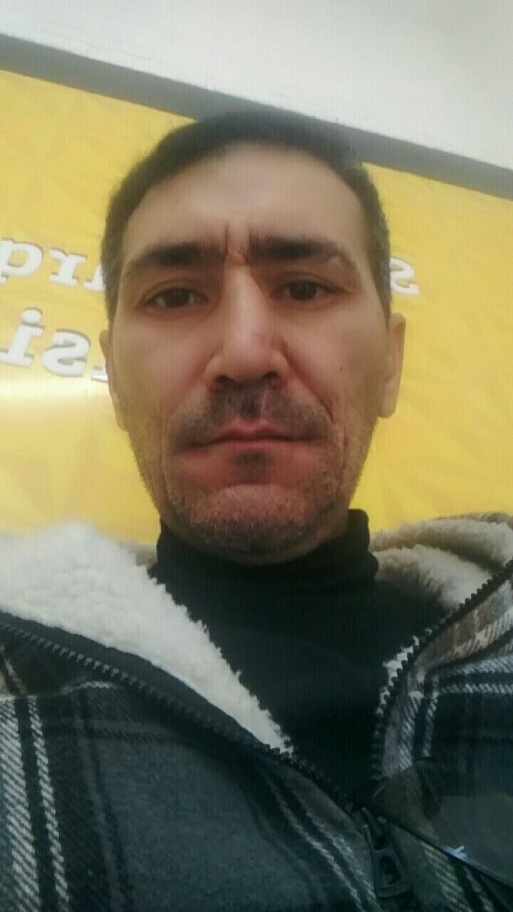  31031651  , 43 ,    