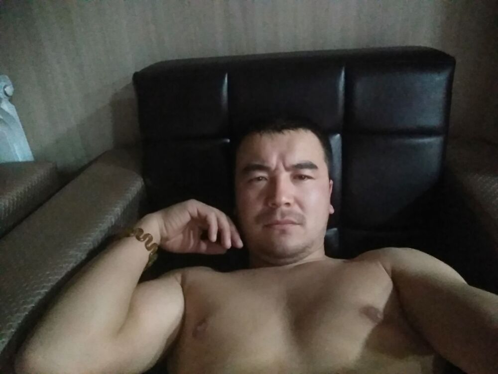  23049751  , 39 ,    
