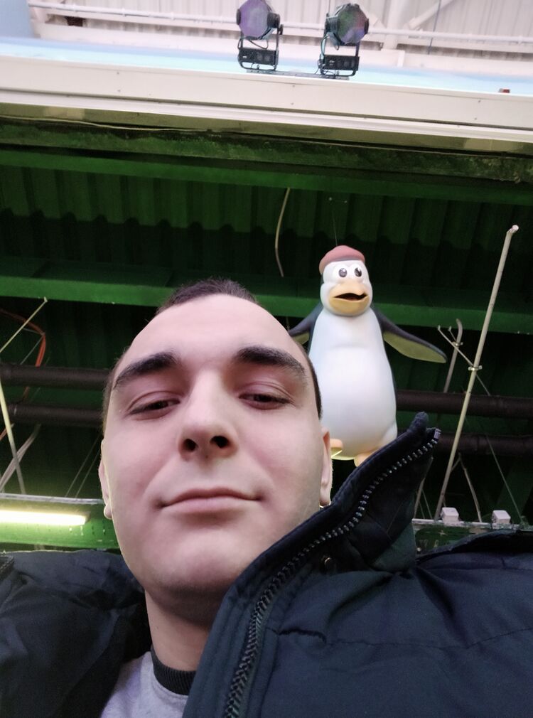 ���������� ������, ���� ������� ���������, 28 ���, ������������ ��� ������, ����� � ���������