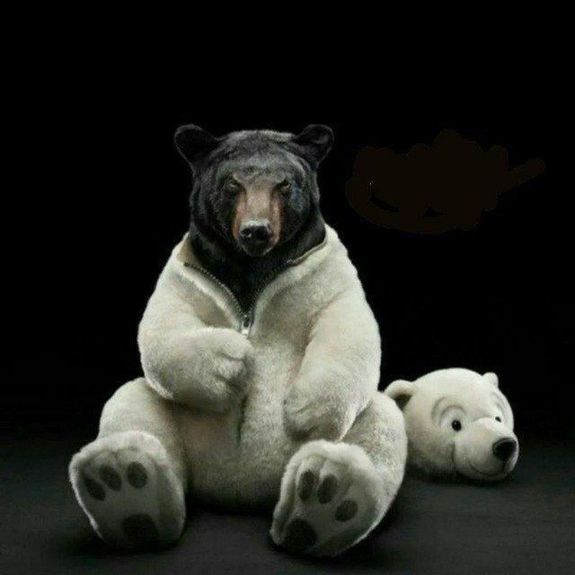 ���� 33903971 ������� ������, 34 ����, ���� ���������� � ��������