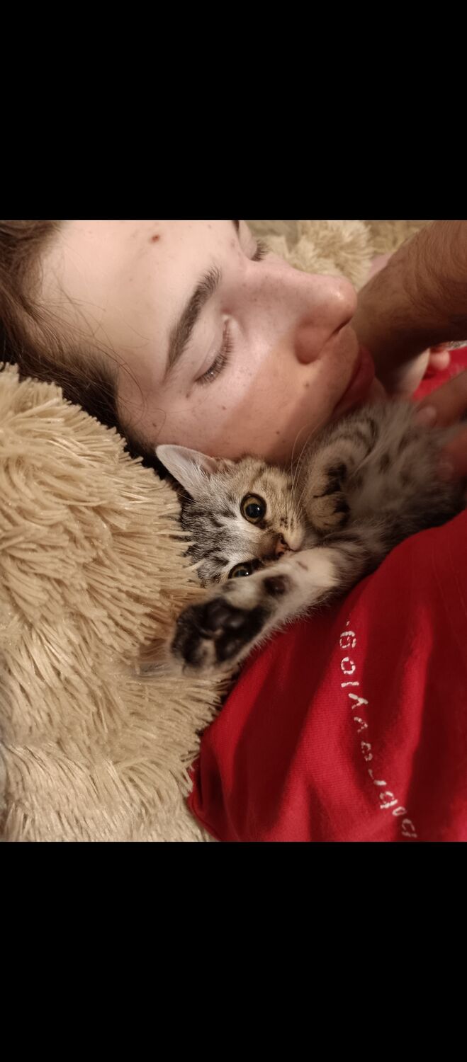  ,   , 20 ,   