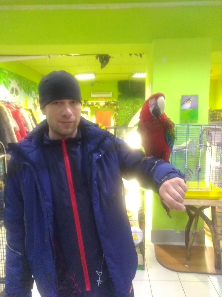 ���������� ������������, ���� ������� �������, 37 ���, ������������ ��� ������, ����� � ���������, c�������� ���������