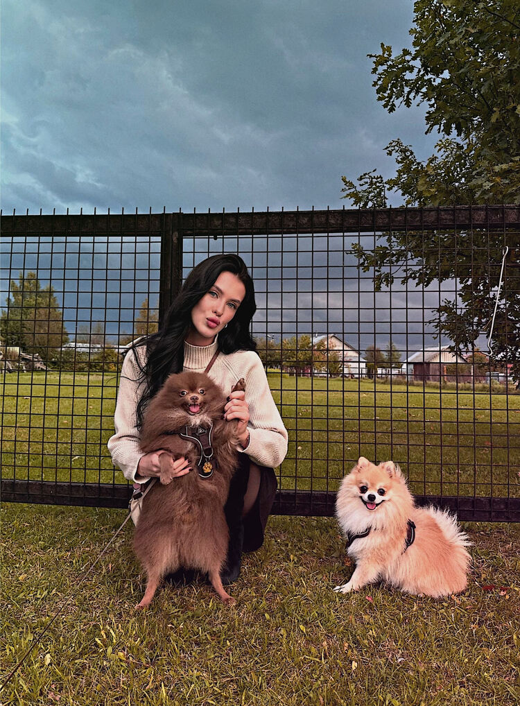 ���� 54909691 ������� ����, 27 ���, ���� ���������� � ���