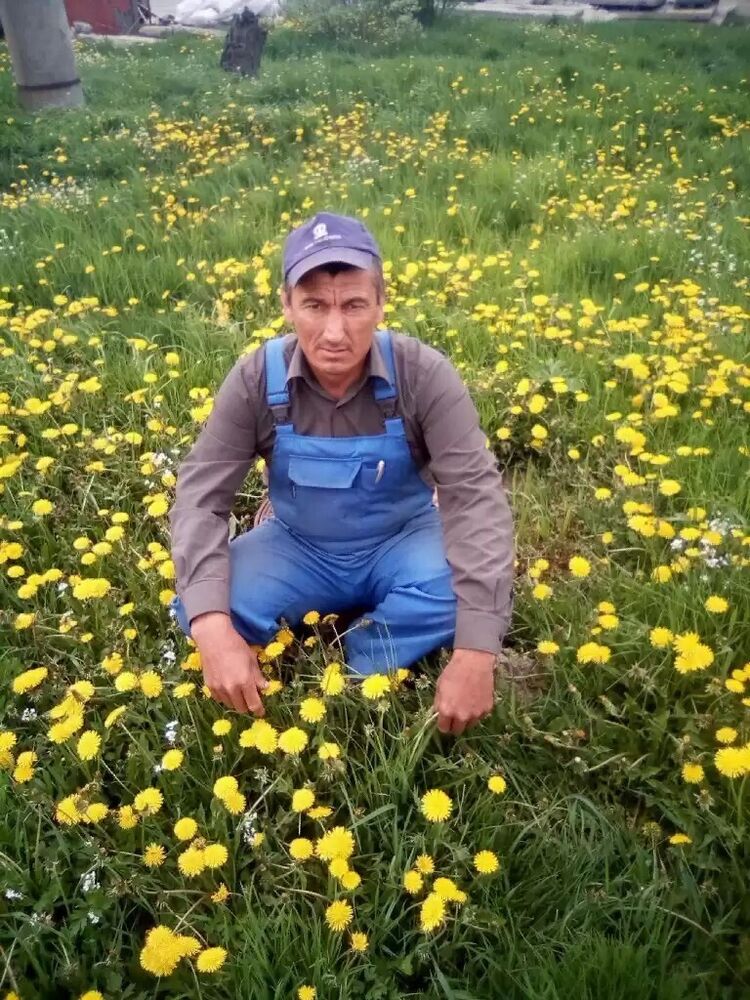  ,   , 53 ,   ,   