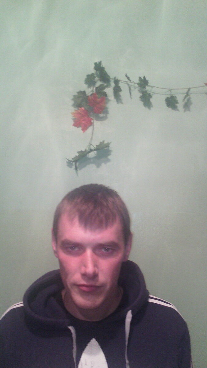 ���������� �����, ���� ������� ���������, 40 ���, ������������ ��� ������, ����� � ���������, c�������� ���������