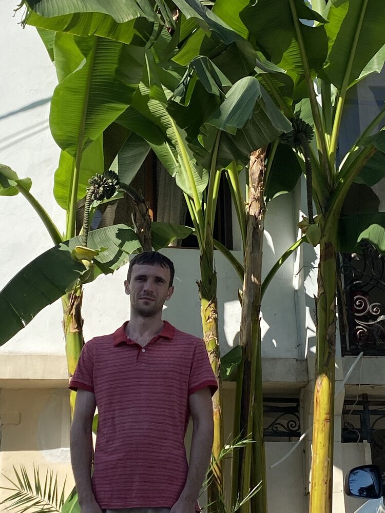  ,   , 33 ,   c 