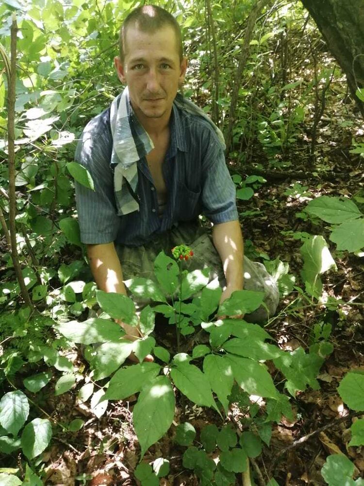 ���� 27623601 ������� ����, 35 ���, ���� ���������� � ������������