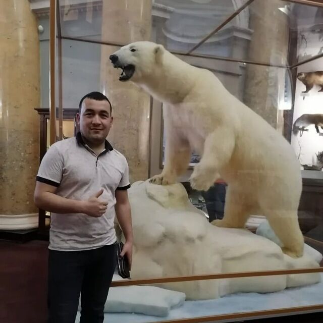  -,   , 34 ,   ,   
