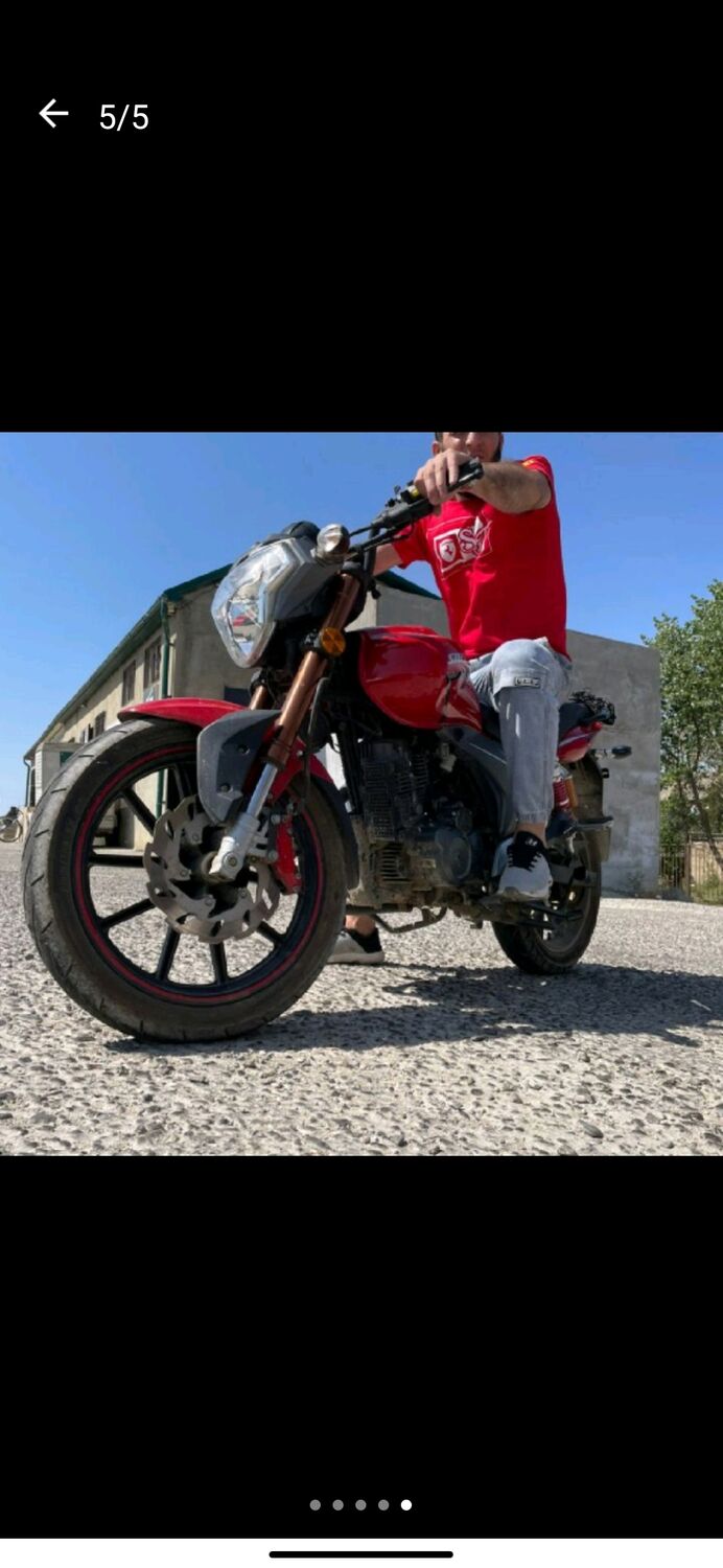  31957781  , 33 ,    