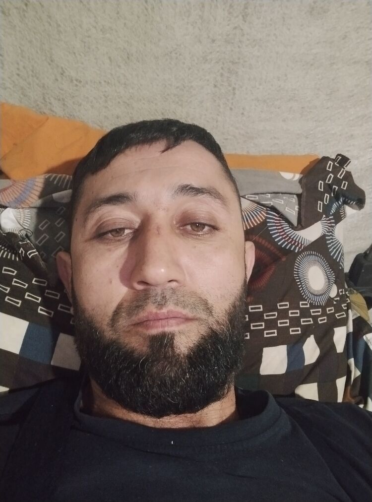  33903421  , 40 ,    