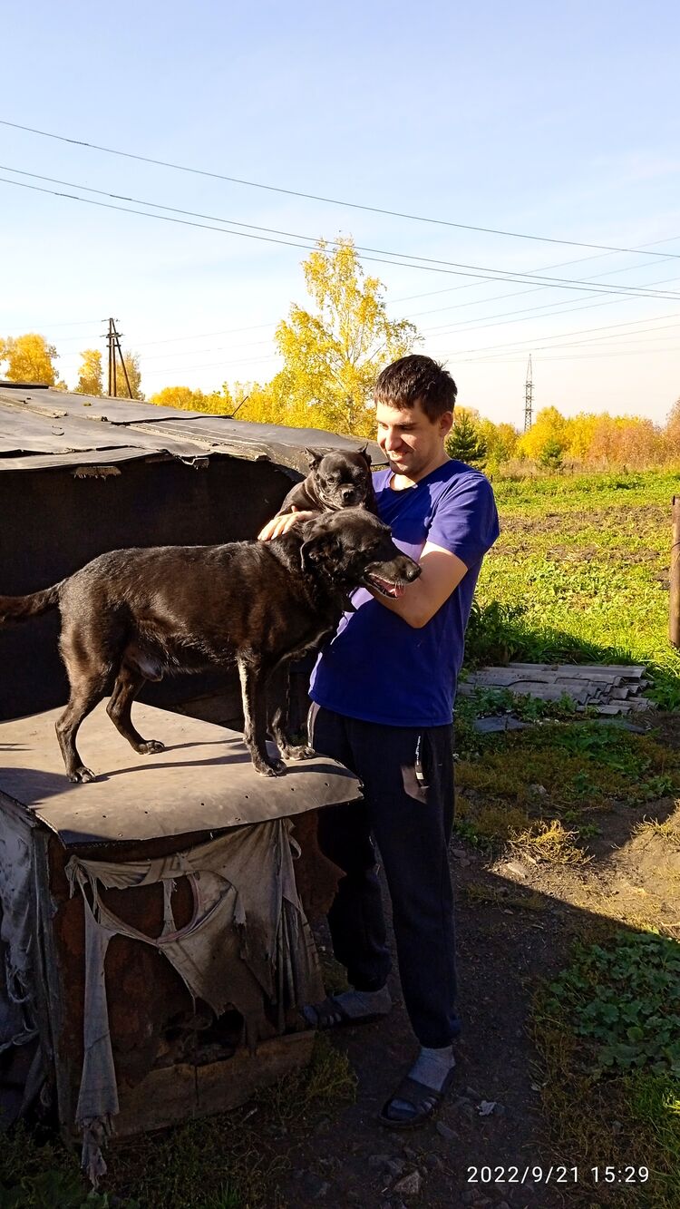 ���������� �����������, ���� ������� �������, 36 ���, ������������ ��� ������, ����� � ���������, c�������� ���������