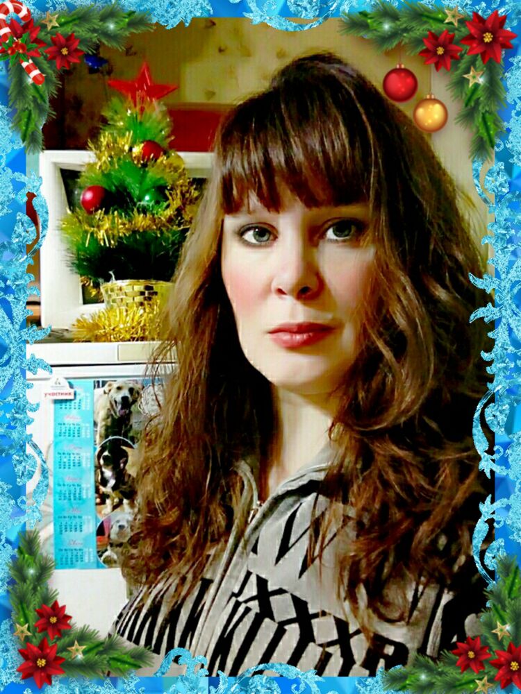 ���� 23125331 ������� �������, 44 ����, ���� ���������� � �����������