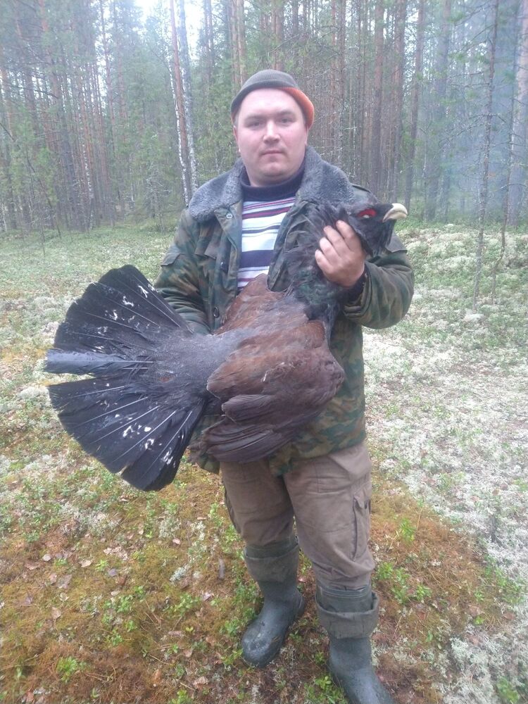 ���� 55930191 ������� ��������, 40 ���, ���� ���������� � �����-����������