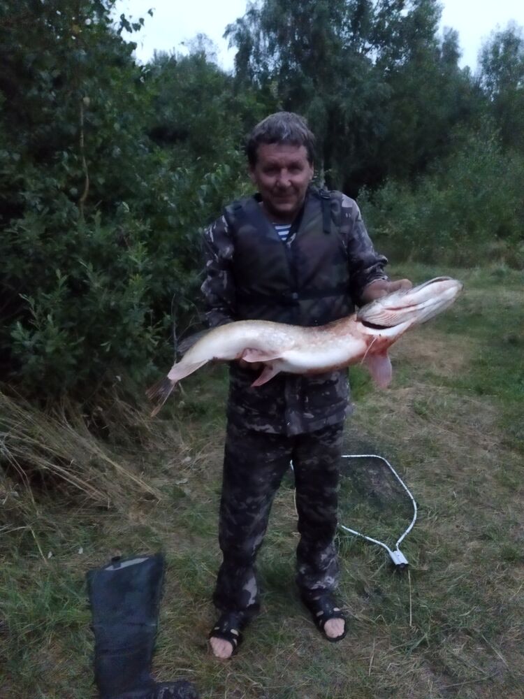 ���������� �����, ���� ������� �������, 61 ���, ������������ ��� ������, ����� � ���������