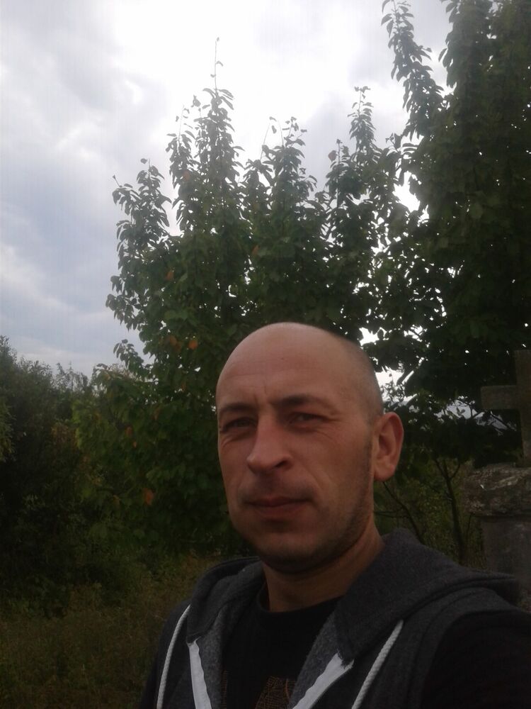  18113751  , 38 ,    