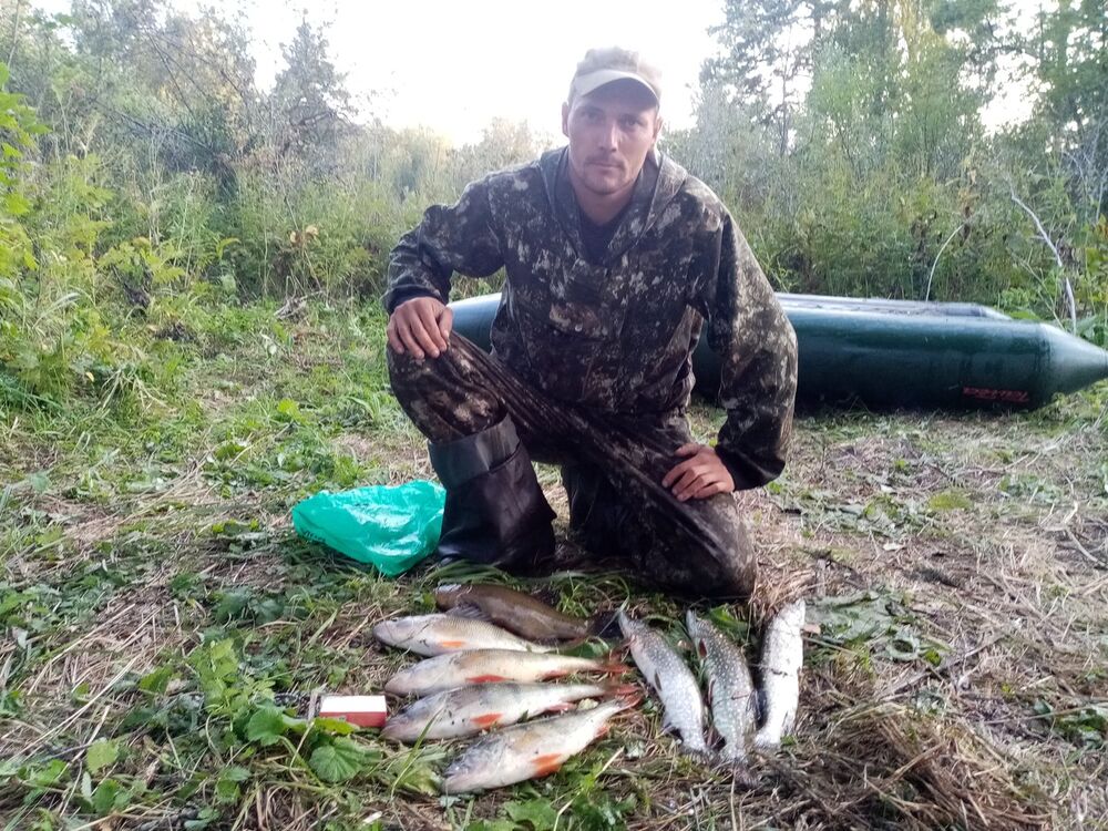 ���������� ����������, ���� ������� �������, 40 ���, ������������ ��� ������, ����� � ���������, c�������� ���������