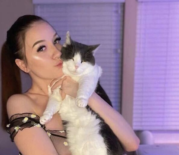 ���� 38443871 ������� ������, 26 ���, ���� ���������� � ������