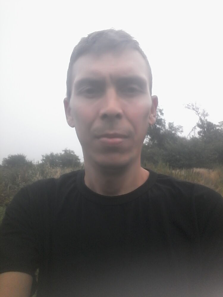  28954291  , 37 ,    