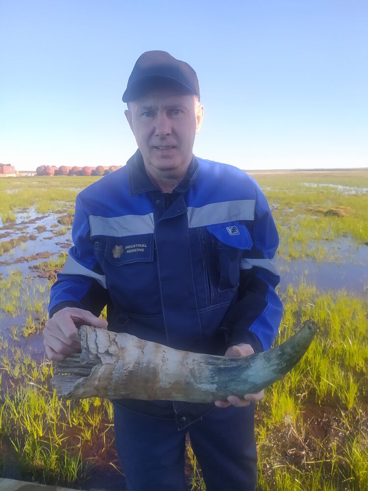 ���� 56106761 ������� �����, 57 ���, ���� ���������� � ������