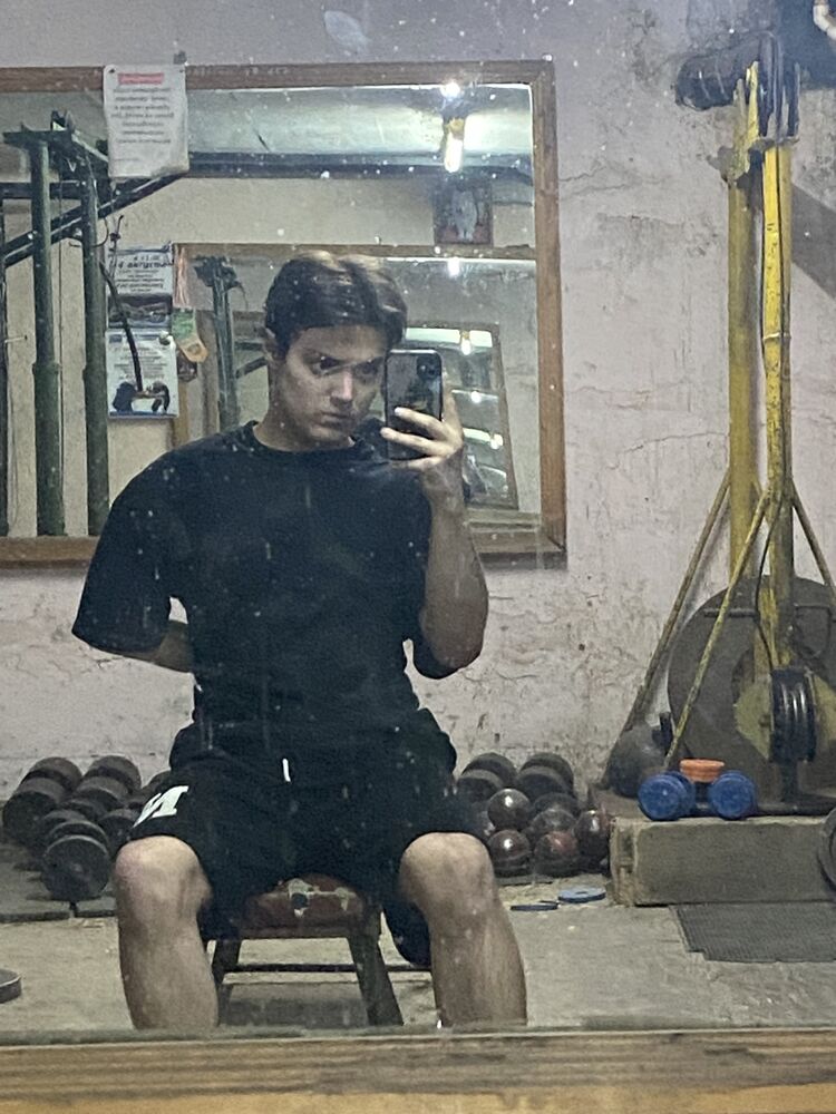  43340671  , 20 ,    