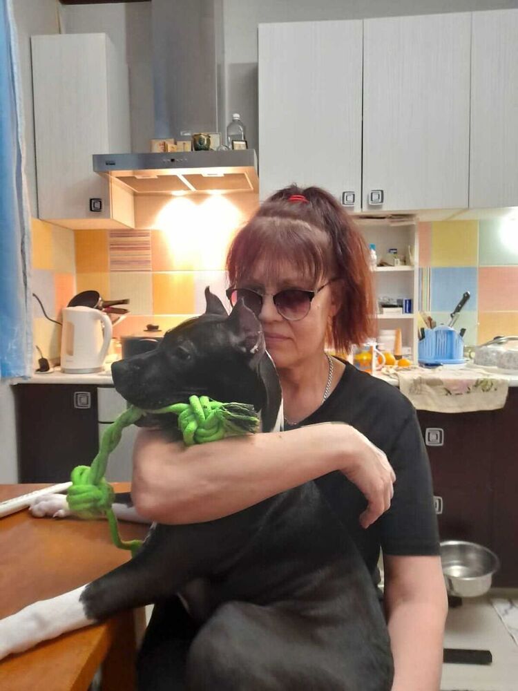 ���� 35514511 ������� ������, 58 ���, ���� ���������� � ������