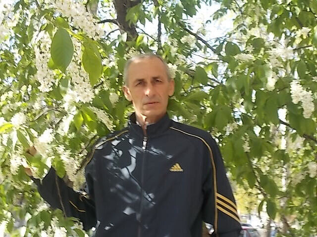  ,   , 61 ,   ,   , c 