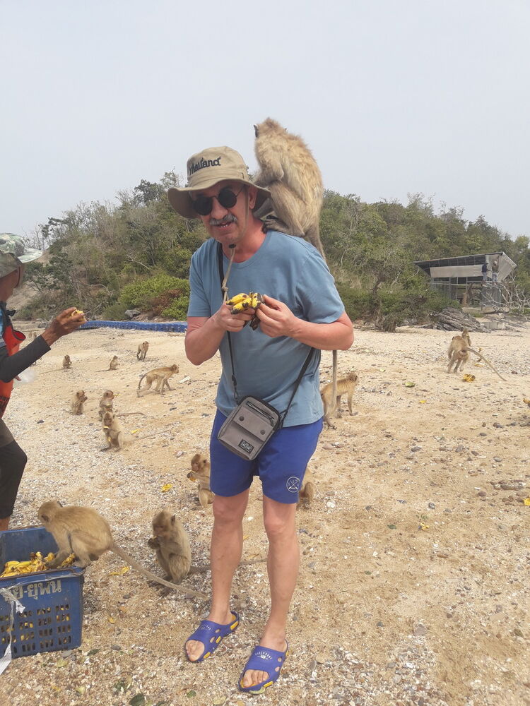  17353801  , 69 ,    Boyalik