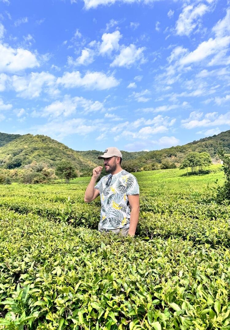 ���� 55931441 ������� ������, 36 ���, ���� ���������� � ���