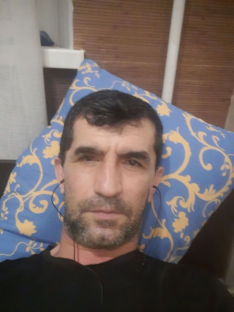  33727191  , 49 ,    
