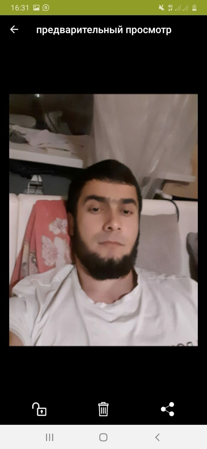  28257071  , 31 ,    