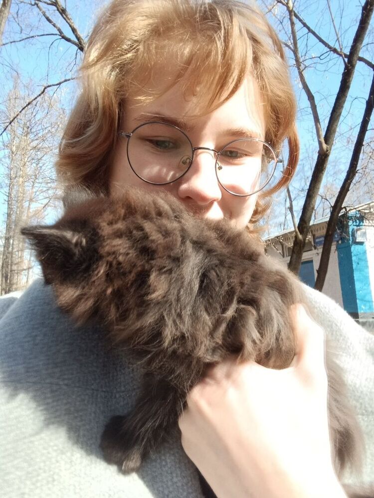 ���������� ������, ���� ������� ���, 20 ���, ������������ ��� ������, ����� � ���������