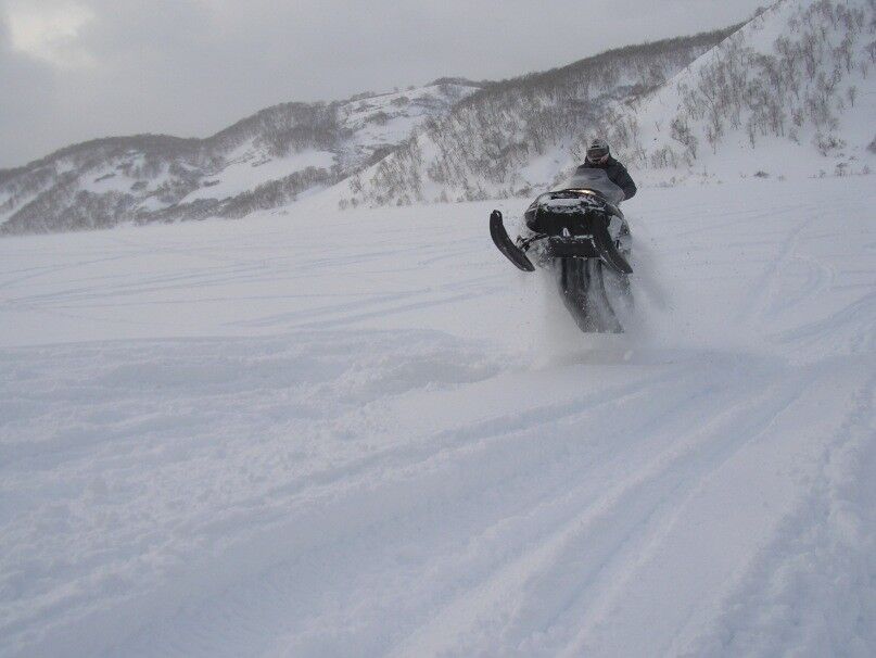 ���������� �������, ���� ������� ������, 36 ���, ������������ ��� ������, ����� � ���������, c�������� ���������