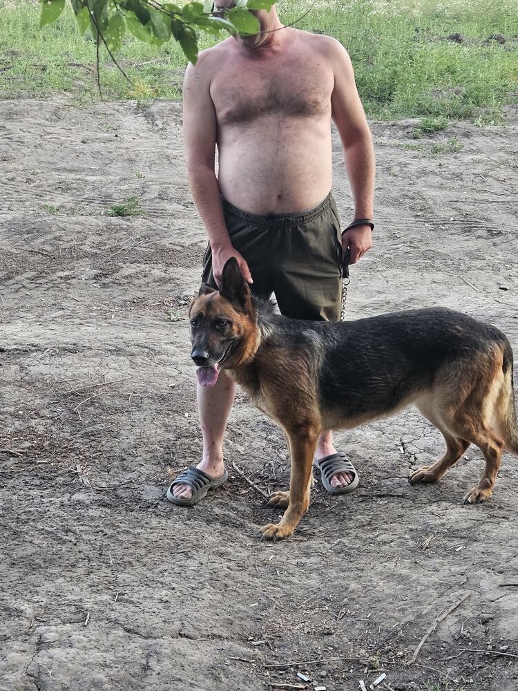 ���������� ���������, ���� ������� �������, 42 ����, ������������ ��� c�������� ���������