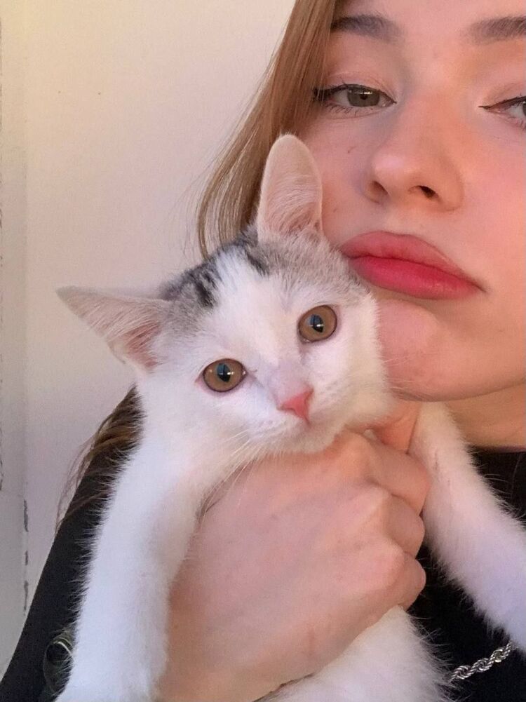 ���� 56231681 ������� �����, 25 ���, ���� ���������� � ������