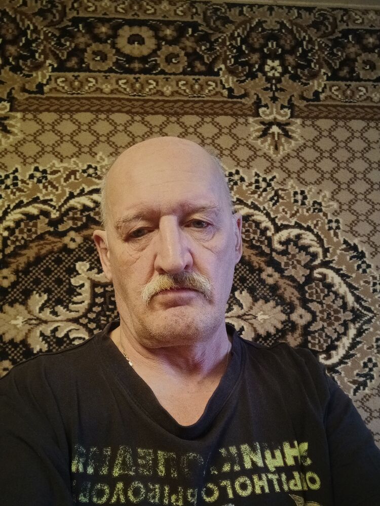  50633271  , 62 ,    