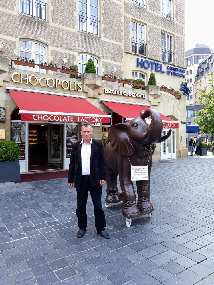  54263231  , 67 ,    -