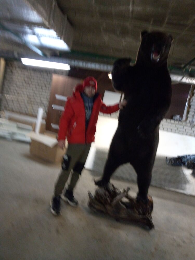 ���� 41393591 ������� �����, 38 ���, ���� ���������� � ������ ���������