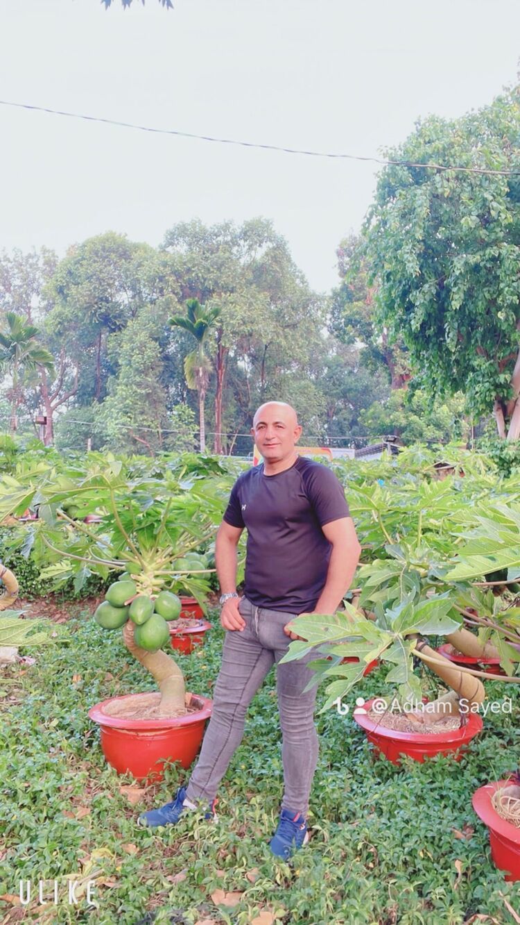  Ho Chi Minh City,   Sayed, 47 ,   ,   