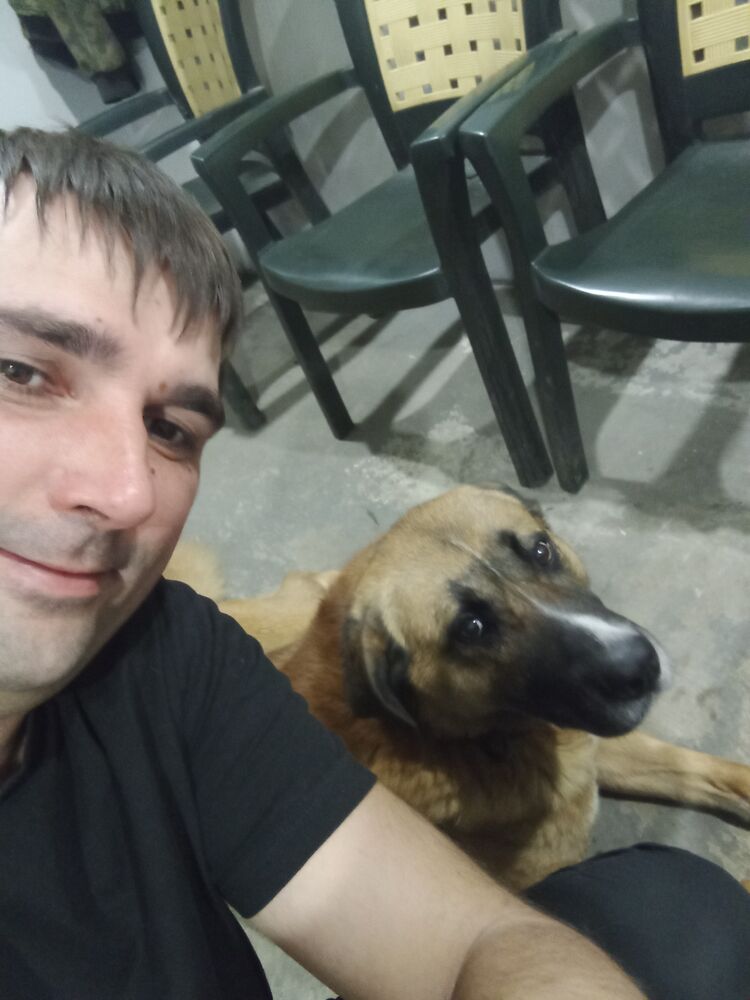 ���������� �������, ���� ������� �������, 38 ���, ������������ ��� c�������� ���������, ���������