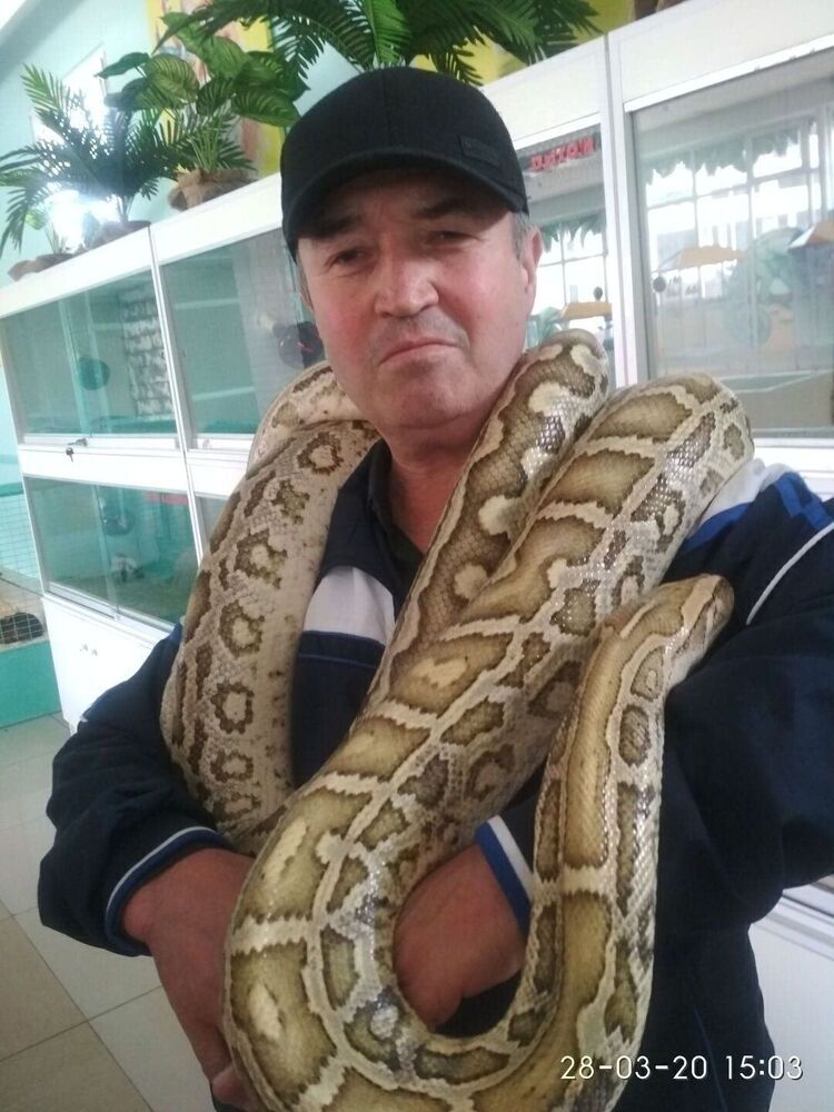  ,   Ali, 56 ,   ,   