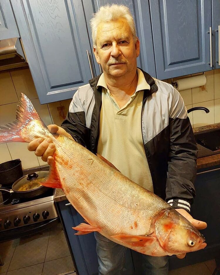 ���� 54964341 ������� ������, 52 ����, ���� ���������� � ����������